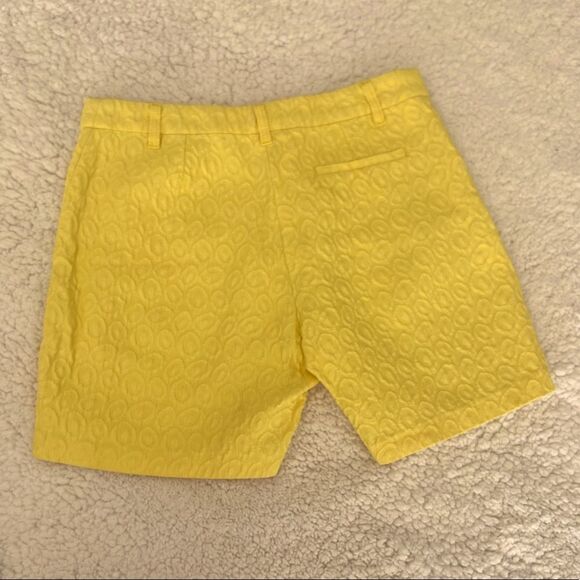 Anthropologie Annie P Shorts   - Picture 5 of 9